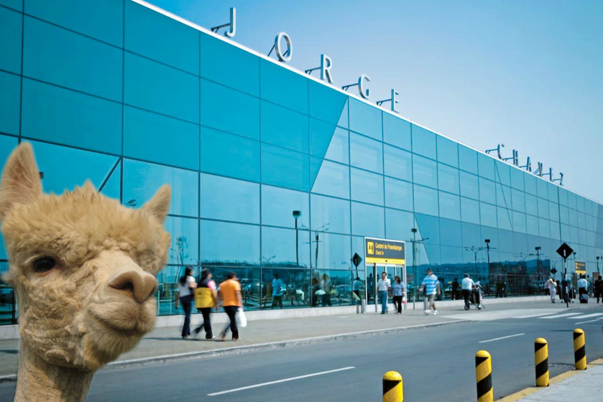 Don’t alpaca your bags for Lima – tech stops forbidden!