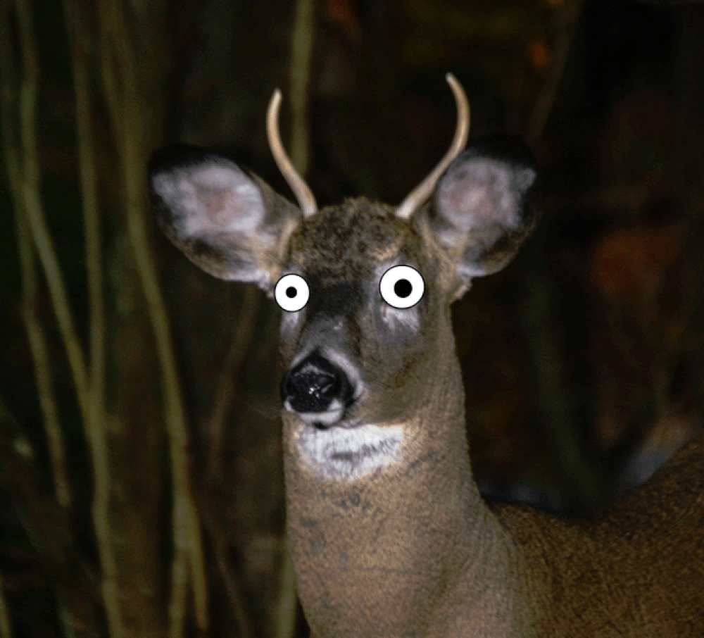 GoArounds Aren’t Normal International Ops 2024 OPSGROUP